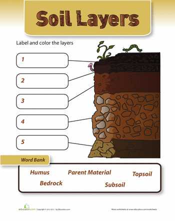 Soil formation Worksheet together with soil Layers