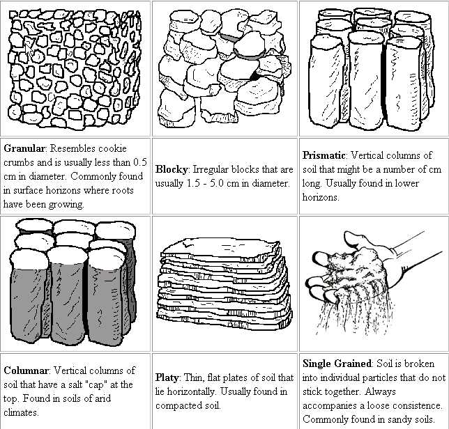 Soil Texture Worksheet Answers or soil Management