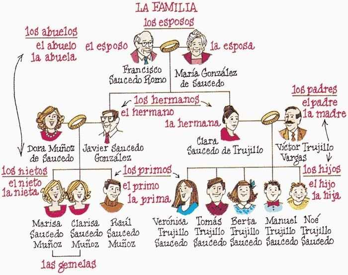 Spanish Family Tree Worksheet Along with 78 Best Familia Family Unit Images On Pinterest