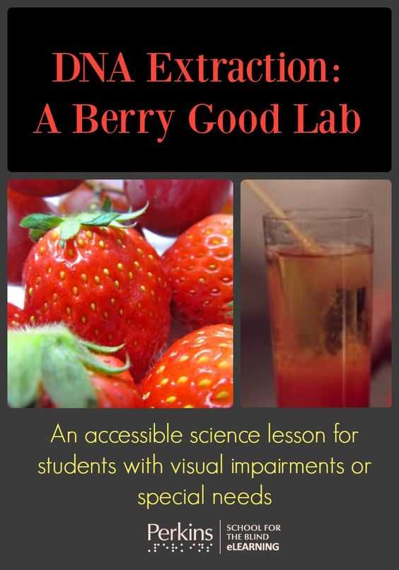 Strawberry Dna Extraction Lab Worksheet Along with This Hands On Accessible Lab Uses Strawberries to Teach Students