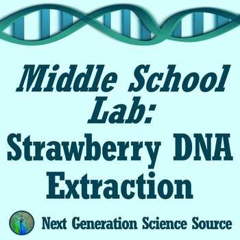 Strawberry Dna Extraction Lab Worksheet Also Dna for Kids Teaching Resources