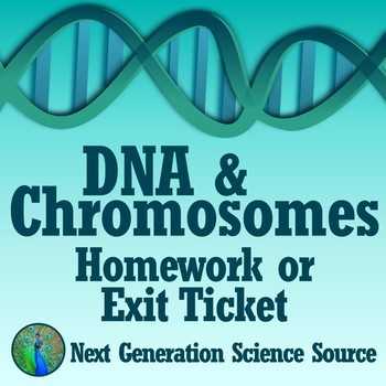 Strawberry Dna Extraction Lab Worksheet or Strawberry Dna Extraction Lab Worksheet Fresh Dna for Kids Teaching