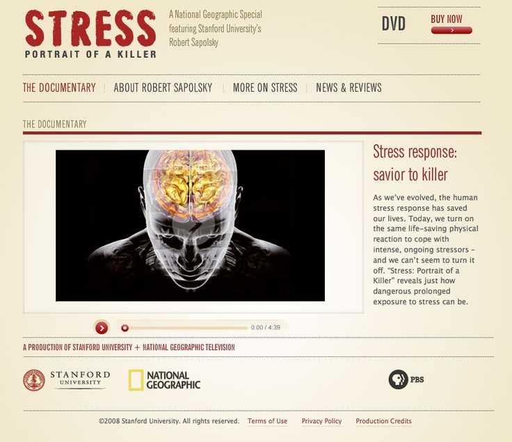Stress Portrait Of A Killer Worksheet or 23 Best Negativity Images On Pinterest