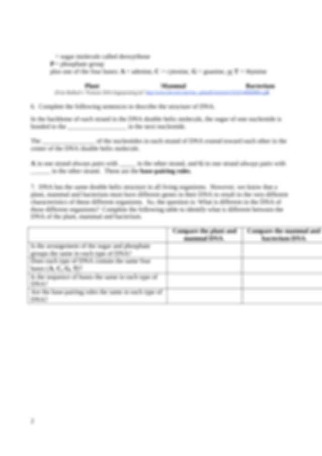 Structure Of Dna and Replication Worksheet Answers as Well as Dna Lab 1 Worksheet Dna by Drs Ingrid Waldron and Jennifer