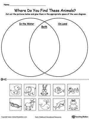 Structure Of the Earth Worksheet Also Year 1 Science Structure Of Animals Venn Diagram Google Search