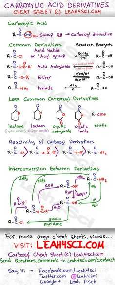 Synthesis Reaction Worksheet together with Pin by Cristina Baldacci On Mcat Med School
