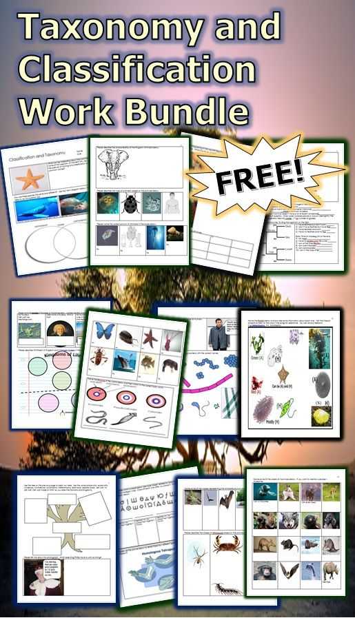 Taxonomy Worksheet Biology Answers with This is A Free 27 Page Homework or Classwork Bundle About Taxonomy