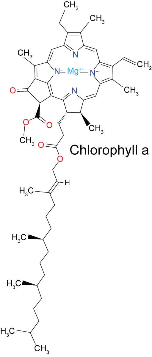 The Absorption Of Chlorophyll Worksheet Answers as Well as Synthesis Lab Manual