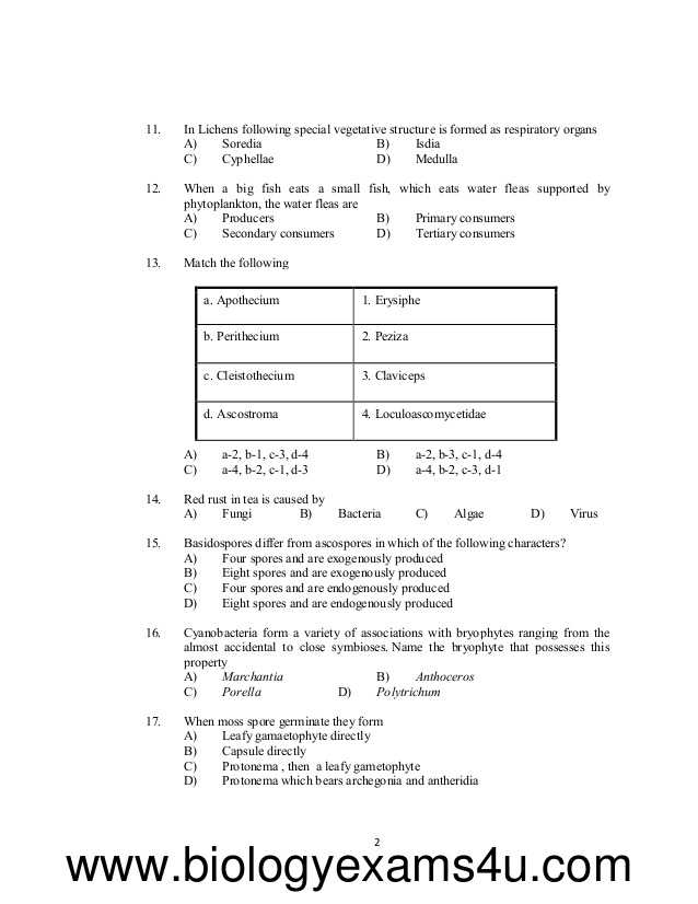 The Big Energy Gamble Worksheet Answers and Set Botany Previous Question Papers with Answer Key Kerala 2010 2…