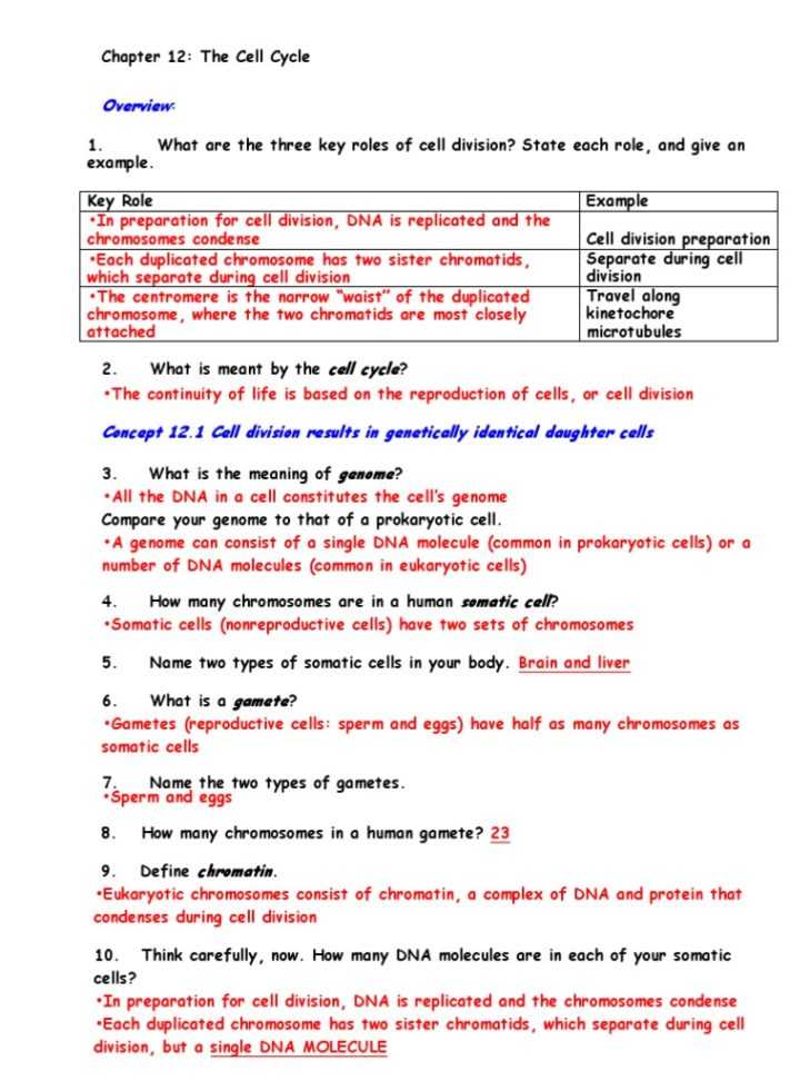 The Cell Cycle and Cancer Worksheet and Worksheets 42 Re Mendations the Cell Cycle Worksheet Hi Res