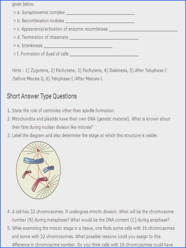 The Cell Cycle Coloring Worksheet Questions Answers Along with Cell Cycle Worksheet Answer Key Gallery Worksheet Math for Kids
