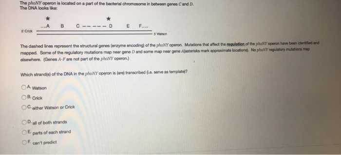 The P53 Gene and Cancer Student Worksheet Answers with Biology Archive November 21 2017