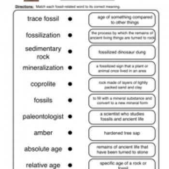 The Relative Age Of Rocks Worksheet or Fossil Word Match Fossils Worksheet 2