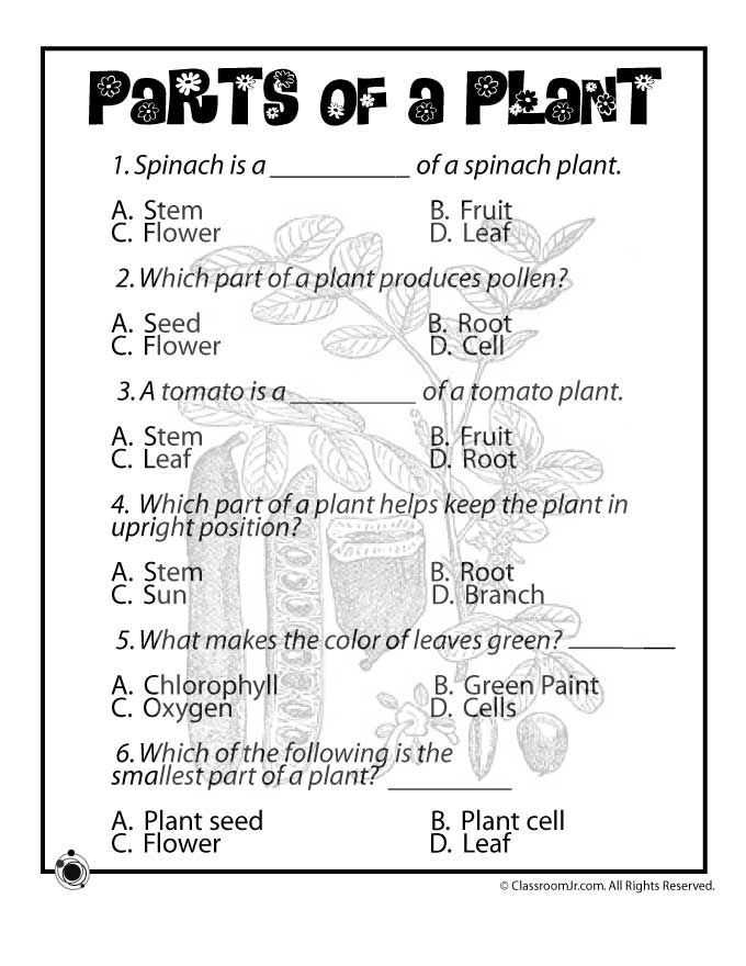 Third Grade Science Worksheets Along with 381 Best Science Images On Pinterest