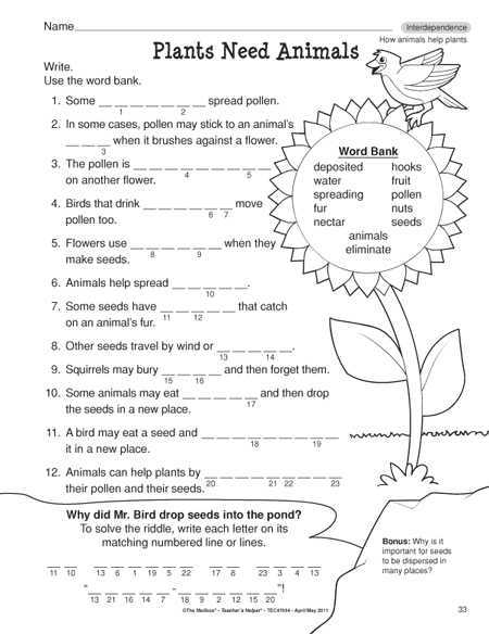 Third Grade Science Worksheets or Science Worksheets 2nd Grade Worksheets for All