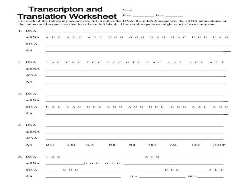 Transcription and Translation Practice Worksheet as Well as Transcription and Translation Worksheet Answers
