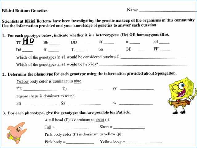 Transcription and Translation Worksheet Answers together with Bikini Bottom Genetics Worksheet