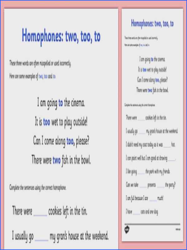 Transcription Practice Worksheet or Noun Worksheets