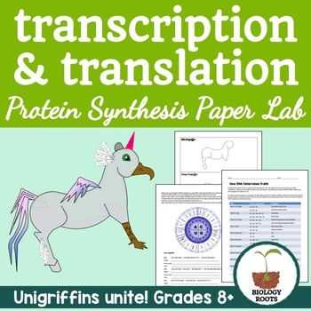 Transcription Translation Worksheet together with Protein Synthesis Transcription and Translation