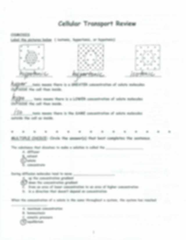 Transport Across Membranes Worksheet Answers together with Diffusion and Osmosis Worksheet Answer Key Best Schematic Diagram