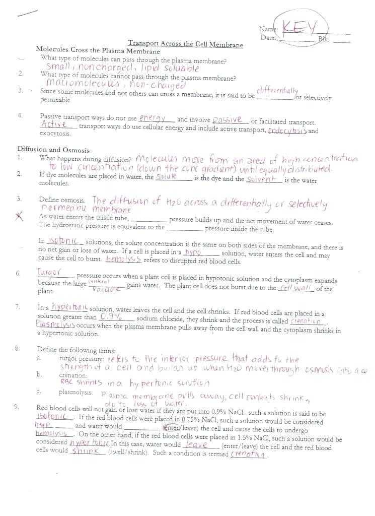Transport Across Membranes Worksheet Answers together with Worksheets 41 Awesome Cell Transport Review Worksheet High