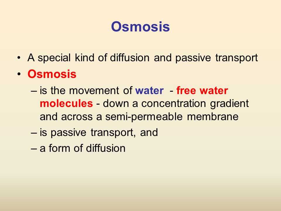 Transport Across Membranes Worksheet Answers together with Worksheets 48 Awesome Diffusion and Osmosis Worksheet Answers Full