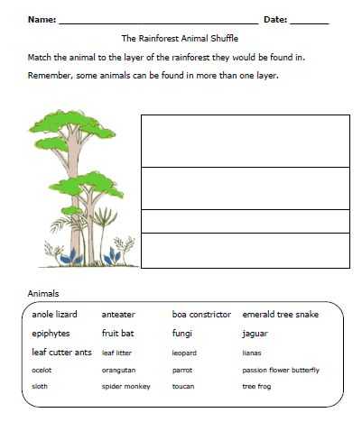 Tropical Rainforest Worksheet and 69 Best Save the Rainforests Images On Pinterest