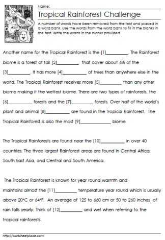 Tropical Rainforest Worksheet and Tropical Rainforest Cloze Worksheet