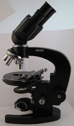 Using A Compound Light Microscope Worksheet or How to Use A Pound Microscope to Study Cells