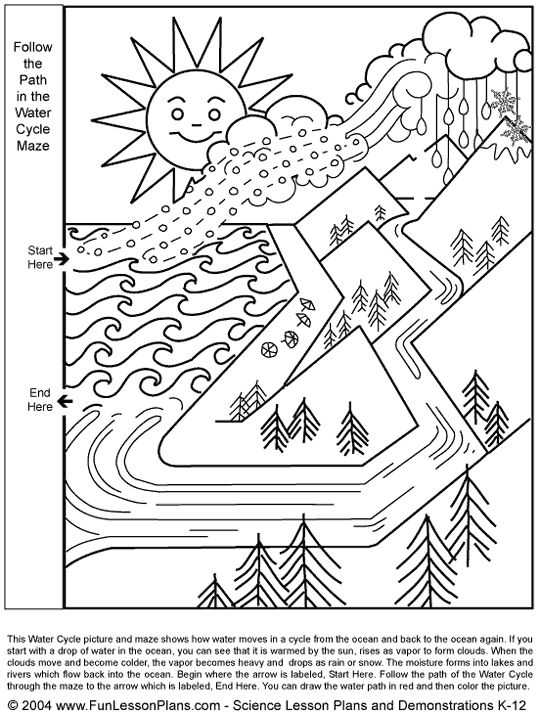 Water Carbon and Nitrogen Cycle Worksheet Color Sheet or 130 Best Cc Cycle 2 Week 4 Images On Pinterest