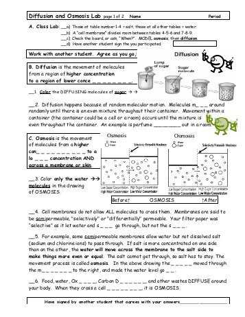 Water Potential and Osmosis Worksheet Answers together with Worksheets 48 Awesome Diffusion and Osmosis Worksheet Answers Full