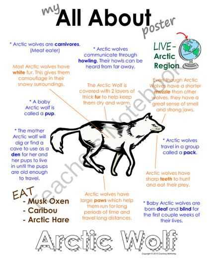 Wolves In Yellowstone Worksheet Also My All About Arctic Wolf Book Arctic Polar Animals