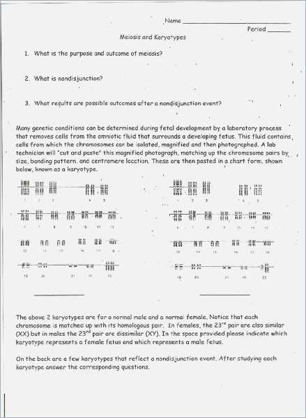 Worksheet Mutations Practice Answer Key Also Karyotype Worksheet Questions Kidz Activities