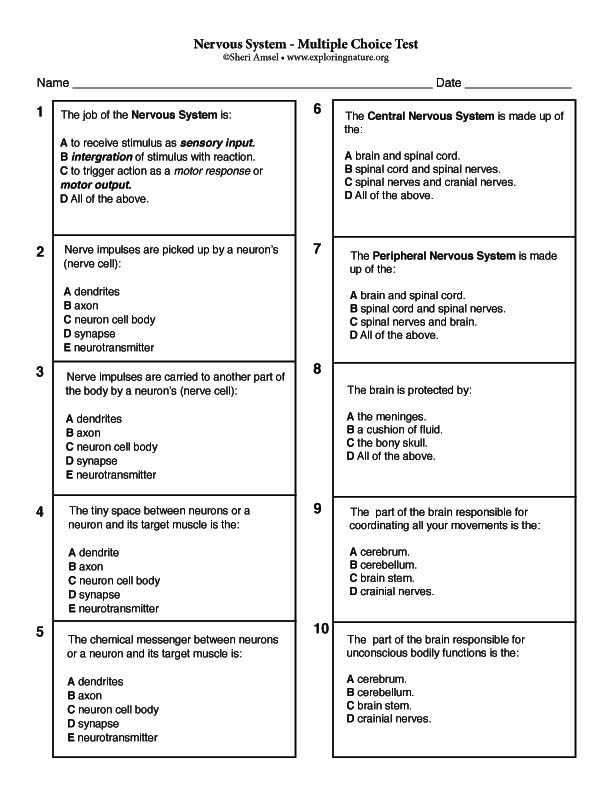 Worksheets Don T Grow Dendrites Pdf as Well as Groß Anatomy and Physiology Multiple Choice Test Bilder