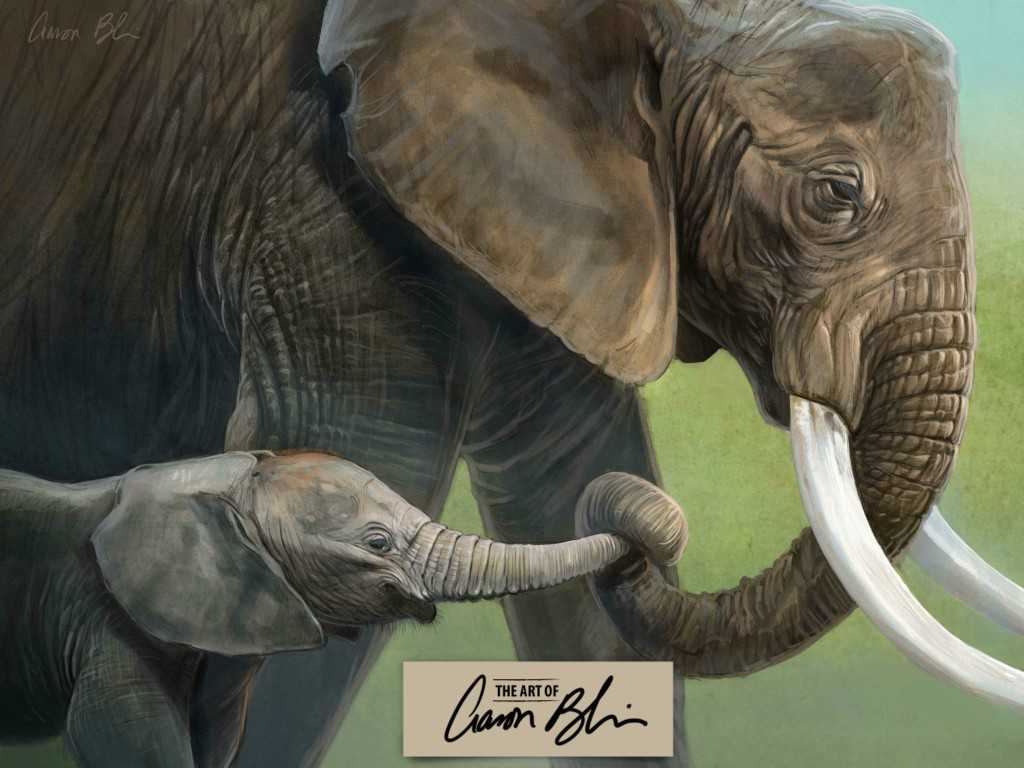 A Tale Of Two Elephants Worksheet Along with Friday Finds Art Of Aaron Blaise