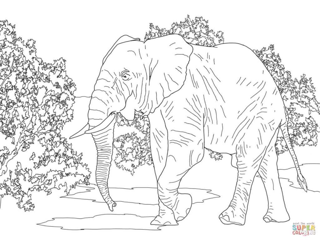 A Tale Of Two Elephants Worksheet Along with Sneak Peek Elephants Coloring Pages Free Coloring Pag