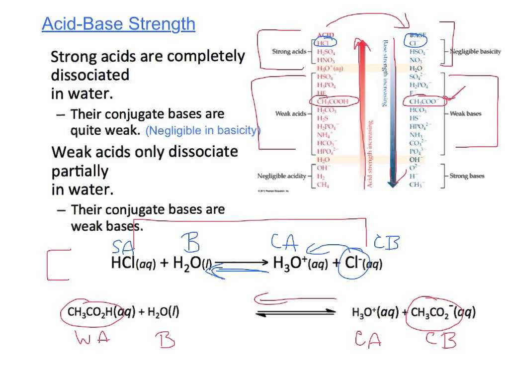 Acids Bases and Salts Worksheet Also Honors Chem 54 Acid Base Equilibriaautoionization Conjuga
