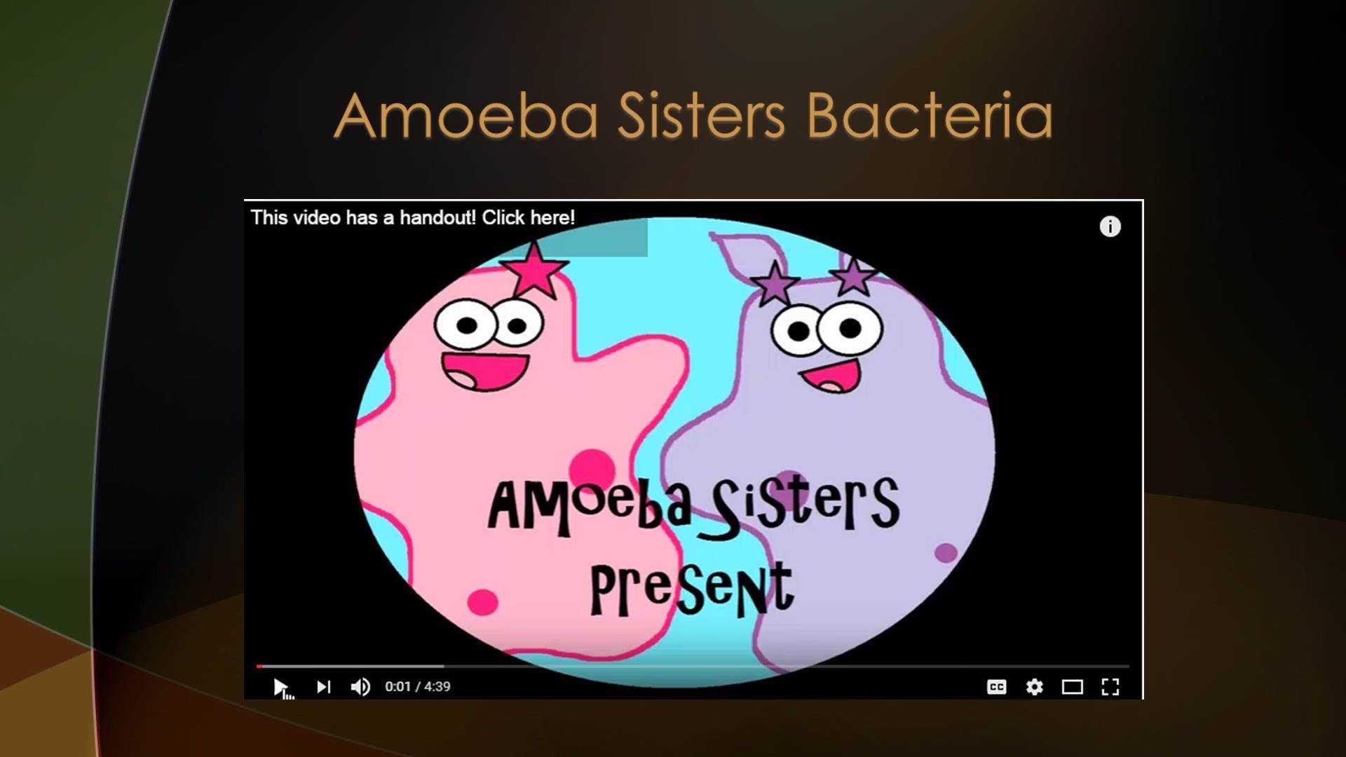 Amoeba Sisters Video Recap Biomolecules Worksheet Answers as Well as Amoeba Sisters Handouts Science with the Amoeba Sisters Dinocrofo