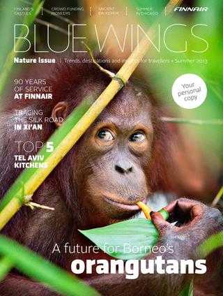Among the Wild Chimpanzees Worksheet Answers Also Blue Wings Nature issue Summer 2013 by Finnair Bluewings issuu