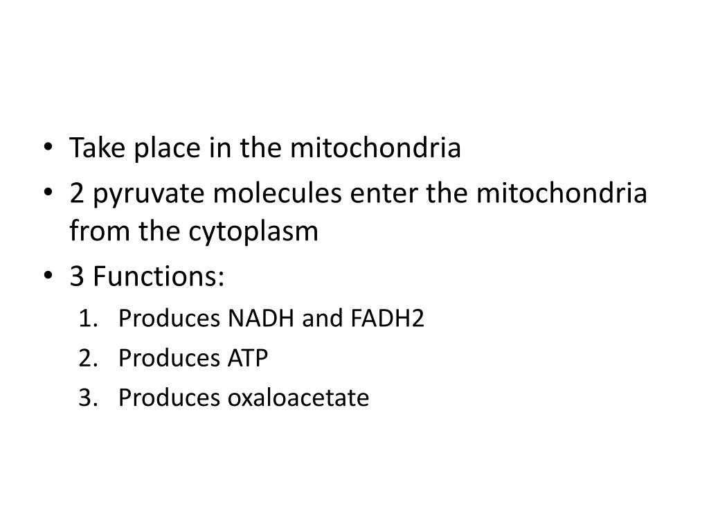 Anaerobic Pathways for atp Production Worksheet as Well as How Does Pyruvate Enter the Mitochondrion Bing Images