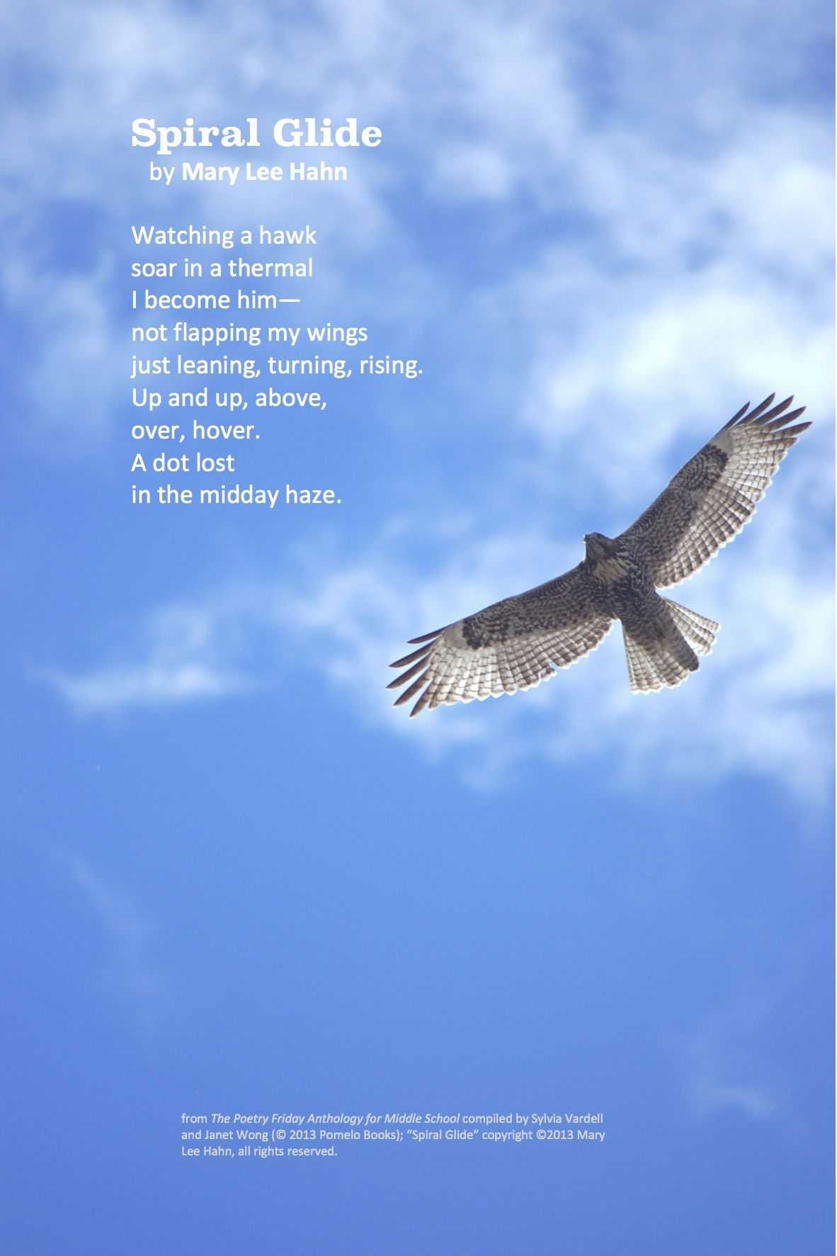 Animal Adaptations Worksheets or This thoughtful Poem "spiral Glide" by Mary Lee Hahn From the