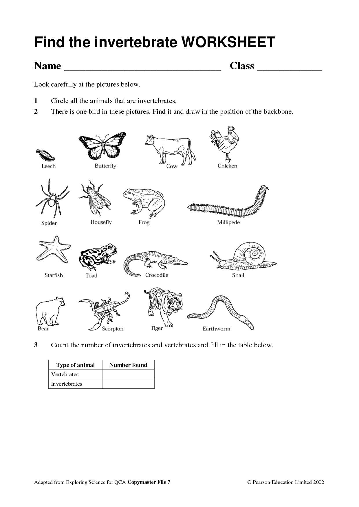 Animal Adaptations Worksheets or Vertebrates and Invertebrates Worksheet Art