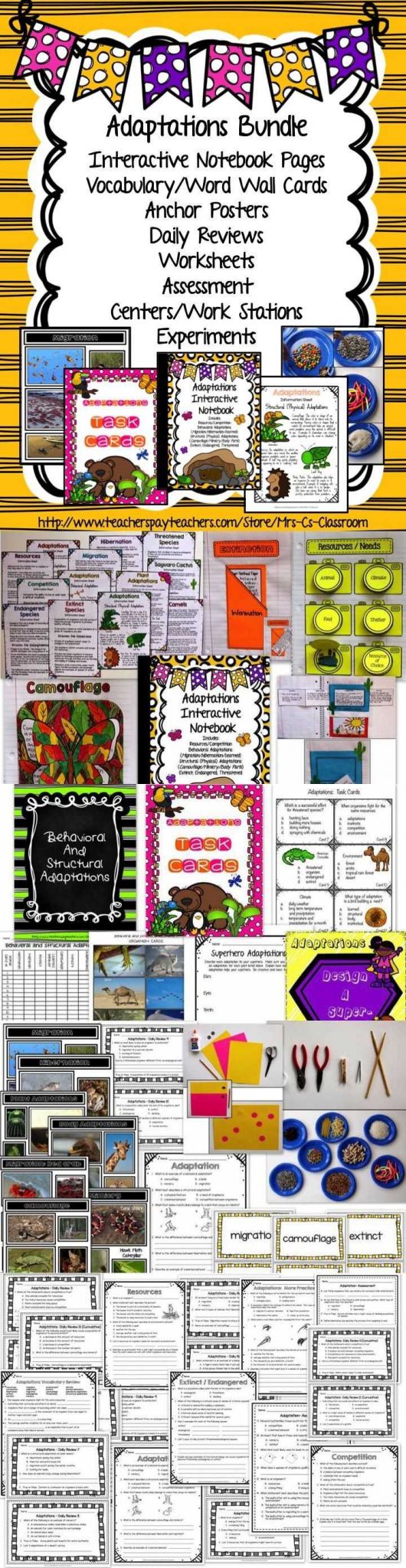 Animal Adaptations Worksheets together with Adaptations Behavioral Structural Physical Bundle Science