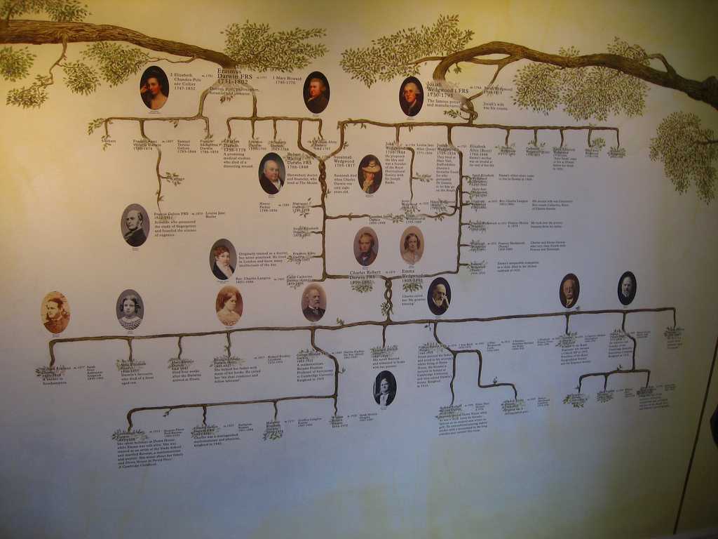 Antigone's Family Tree Worksheet Answers with Darwin Family Reverse Search