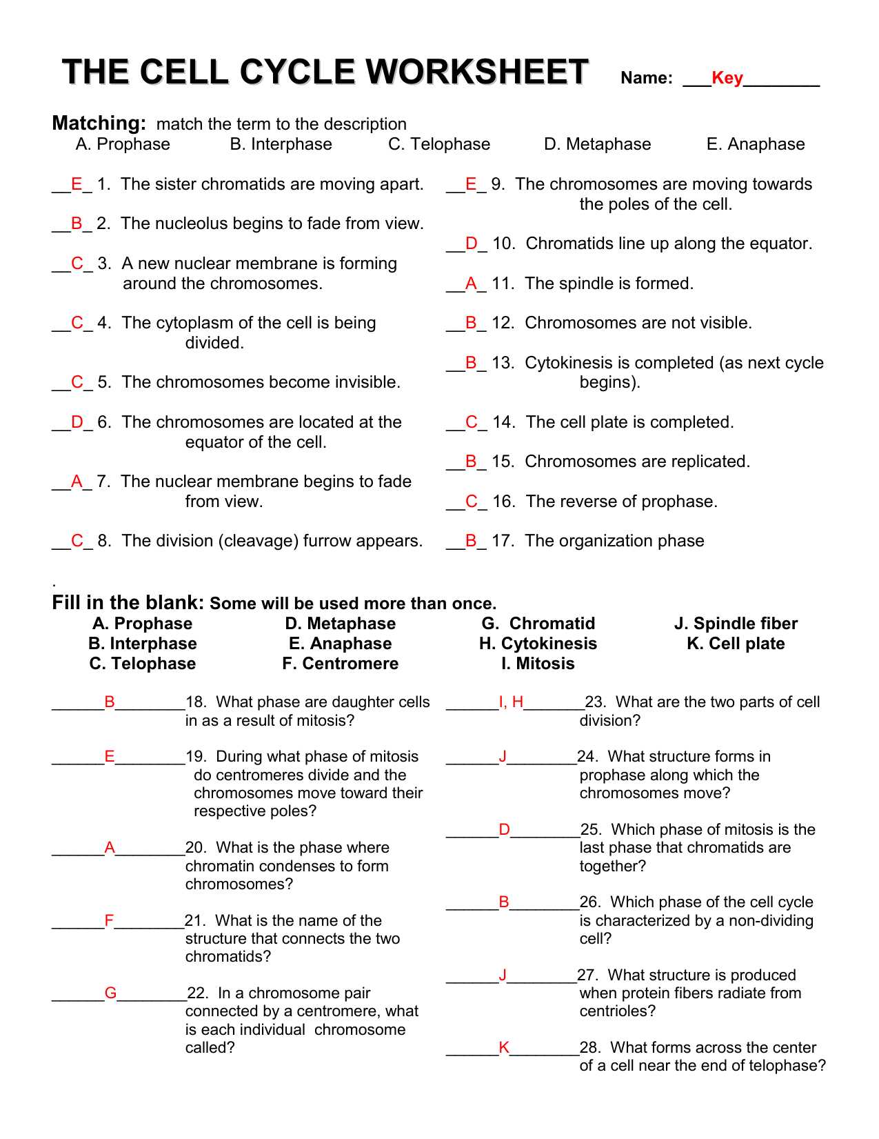 Bill Nye the Science Guy Energy Worksheet and Free Worksheets Library Download and Print Worksheets