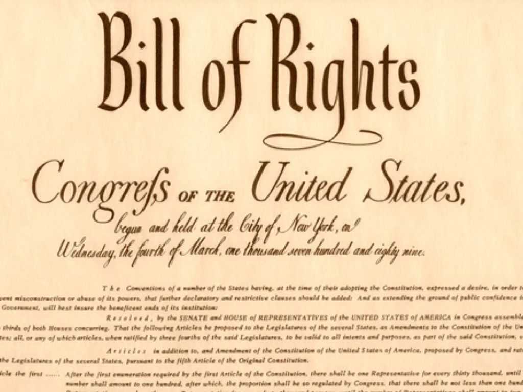 Bill Of Rights Worksheet or Bill Rights by Kaykeigh Mirick