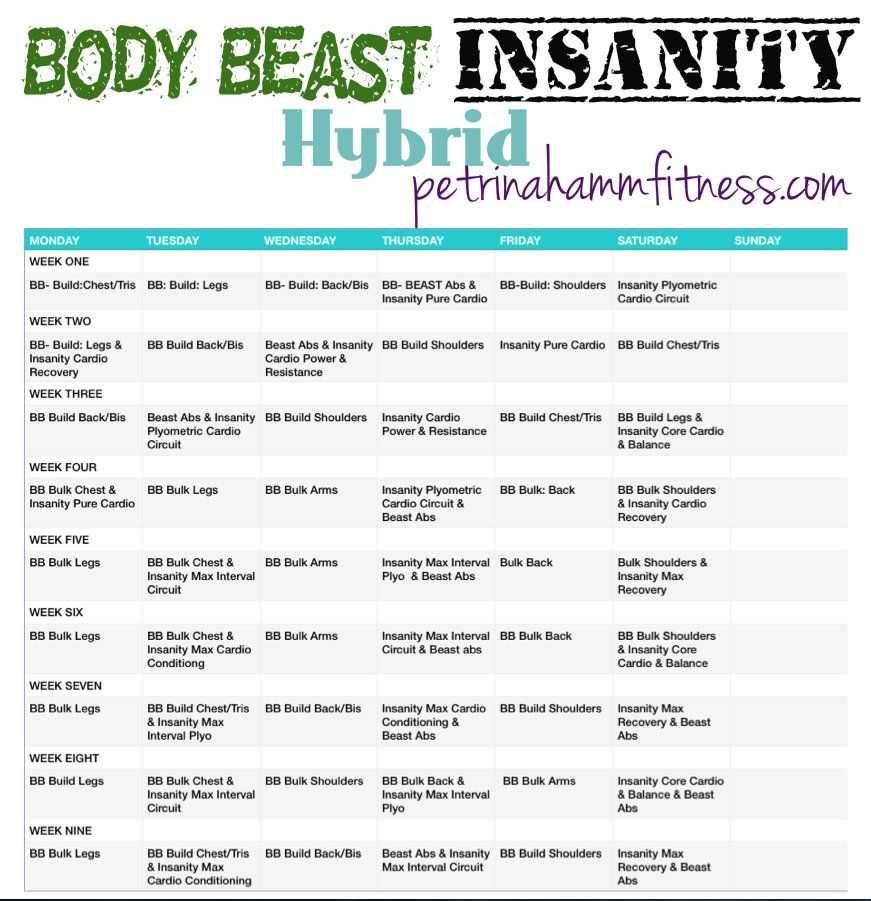 Body Beast Cardio Worksheet Along with Body Beast Insanity Hybrid Fit Well & Strong Pinterest