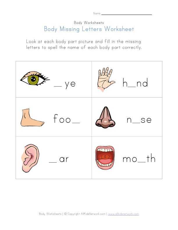 Body Image Worksheets together with Body Picture Matching Worksheet Body Worksheets
