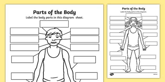 Body Image Worksheets together with Parts the Body Labelling Worksheet Body Parts Body