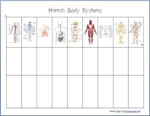 Body Image Worksheets with 467 Best 10 Health Museum Images On Pinterest